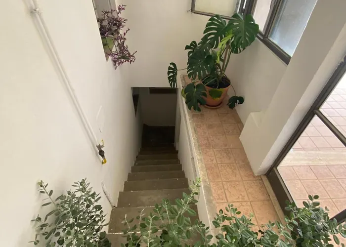 Casa 1960 *